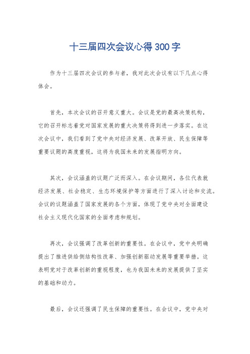 十三届四次会议心得300字