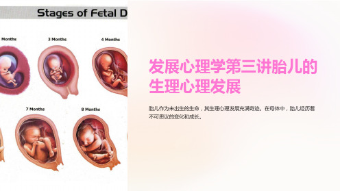 发展心理学第三讲胎儿的生理心理发展