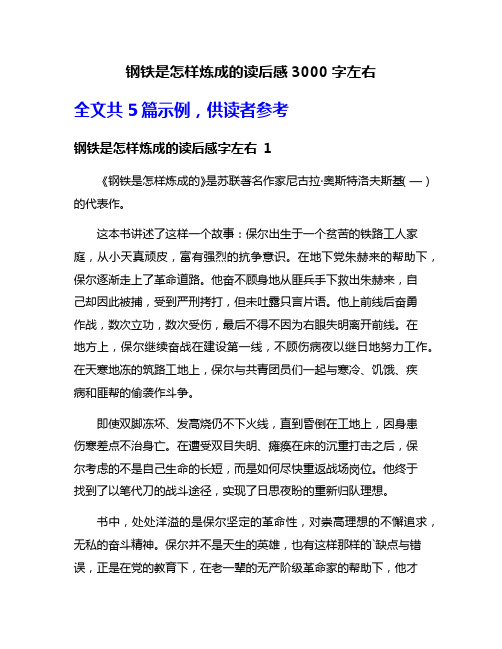 钢铁是怎样炼成的读后感3000字左右