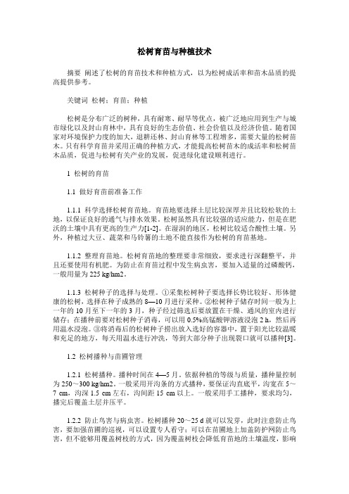 松树育苗与种植技术