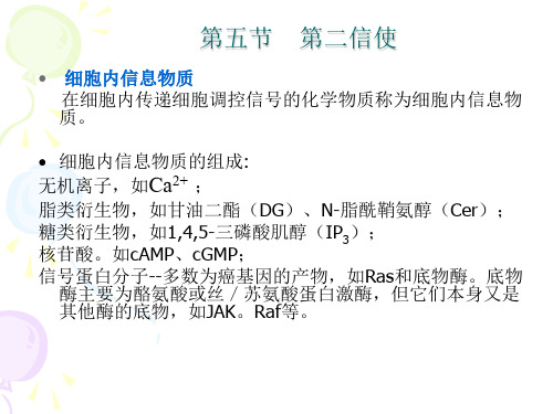 第五节 第二信使