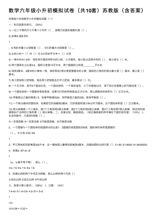 数学六年级小升初模拟试卷（共10套）苏教版（含答案）