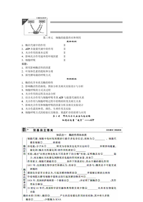 第1讲 降低化学反应活化能的酶