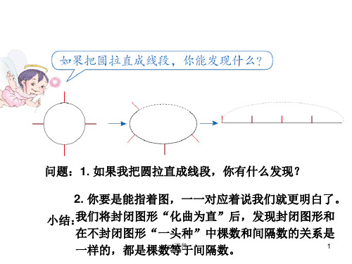 五年级上册植树问题之封闭图形  ppt课件