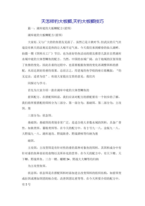 天怎样钓大板鲫,天钓大板鲫技巧