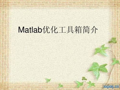 matlab优化工具箱介绍