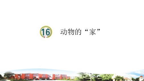 2021年青岛版科学四年级下册18.《动物的家》教学课件