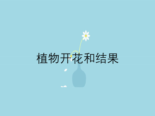 植物开花和结果
