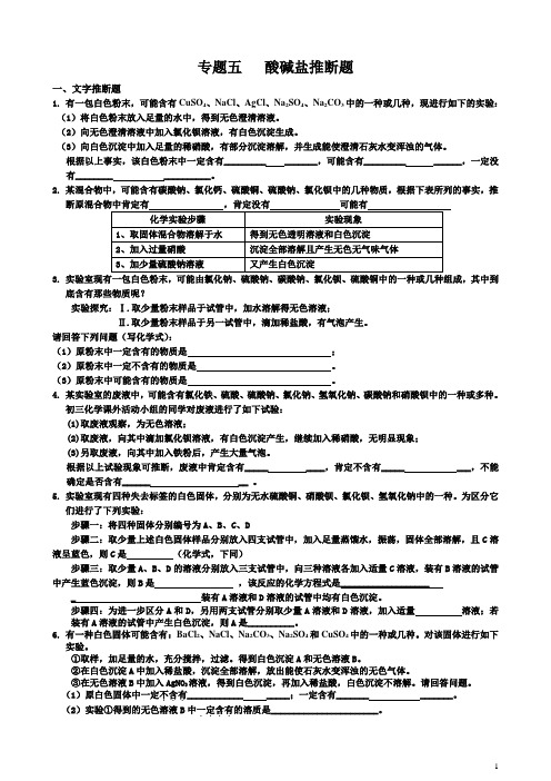 中考化学专题五酸碱盐推断题 A4