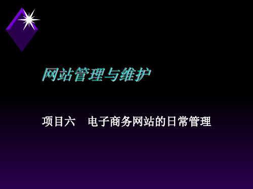 项目电子商务网站的日常管理.ppt