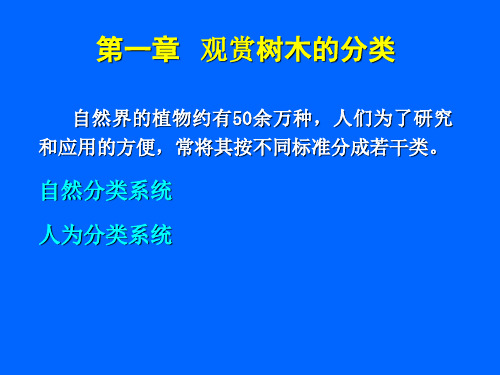 观赏树木分类