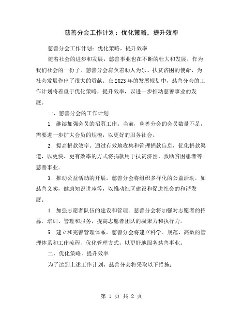 慈善分会工作计划：优化策略,提升效率