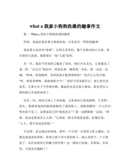 what a我家小狗狗洗澡的趣事作文