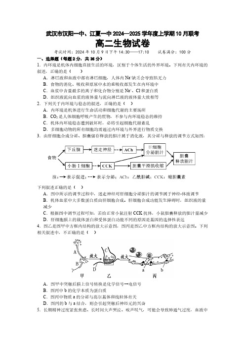 武汉市汉阳一中、江夏一中2024—2025学年度上学期10月联考高二 生物试卷