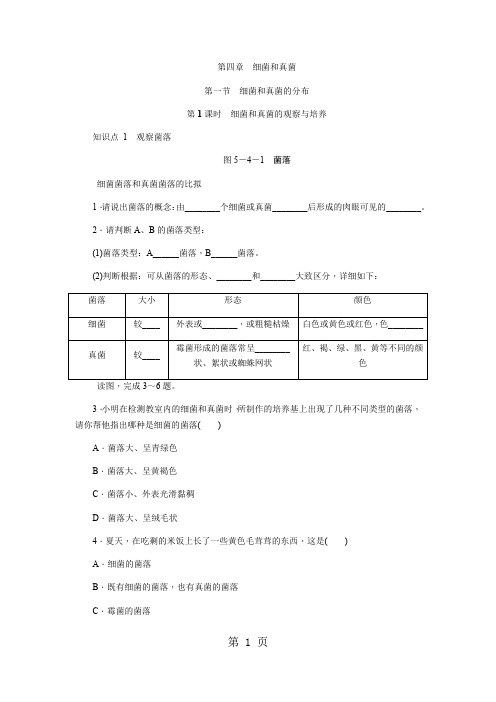 第一节 细菌和真菌的分布   第1课时 细菌和真菌的观察与培养