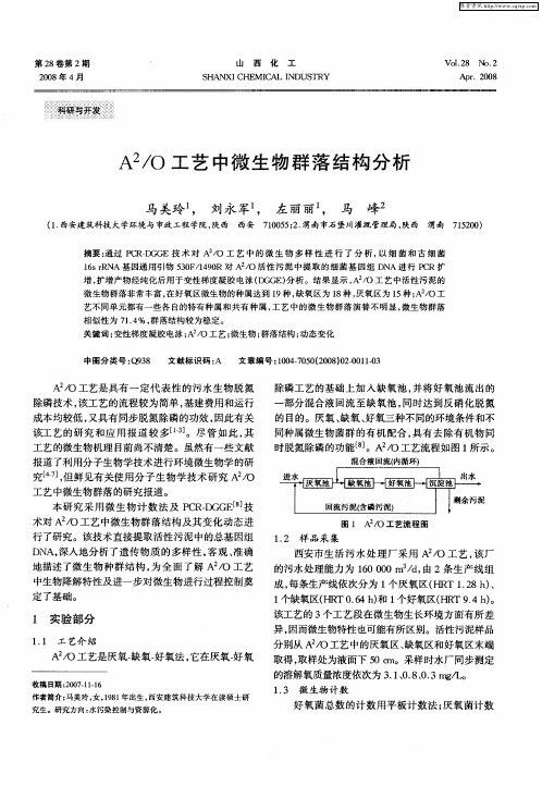 A 2／O工艺中微生物群落结构分析