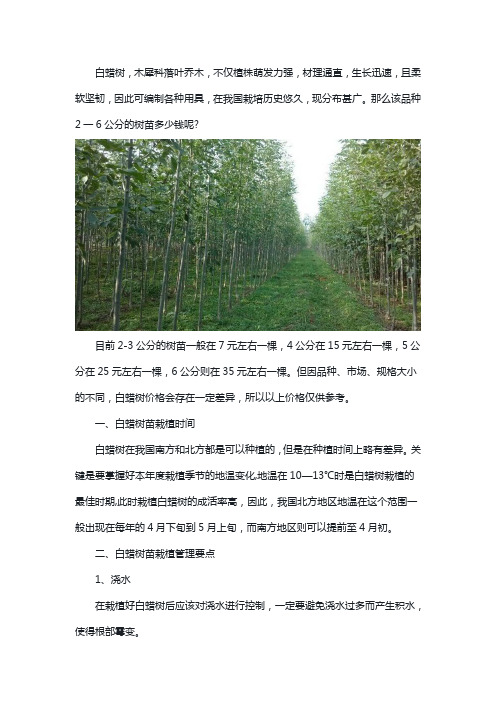 2一6公分白蜡树价格多少钱