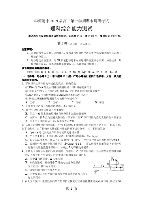 华师附中2019年第一学期期末考试理综试题共15页文档