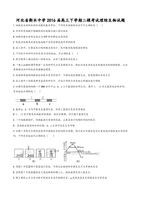 【全国百强校】河北省衡水中学2016届高三下学期第二次模拟考试理综生物试题解析(原卷版)