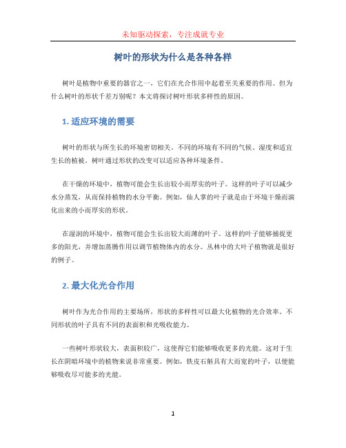 树叶的形状为什么是各种各样