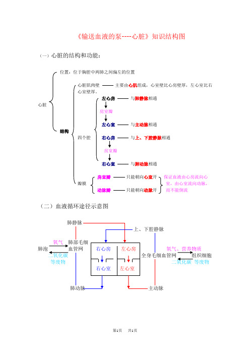 初中七年级(初一)生物《输送血液的泵----心脏》知识结构图