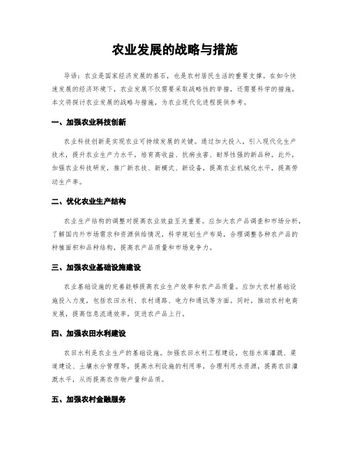 农业发展的战略与措施