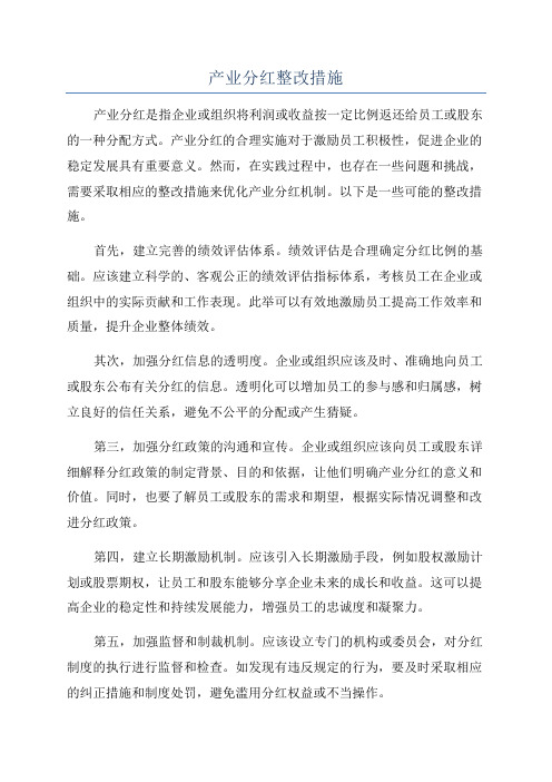 产业分红整改措施