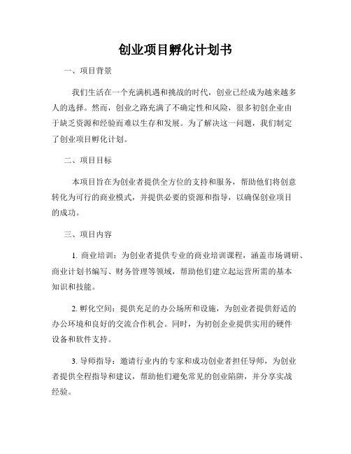 创业项目孵化计划书