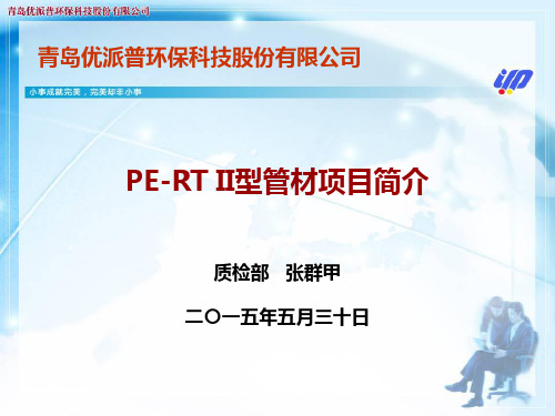 PE-RT管项目简介