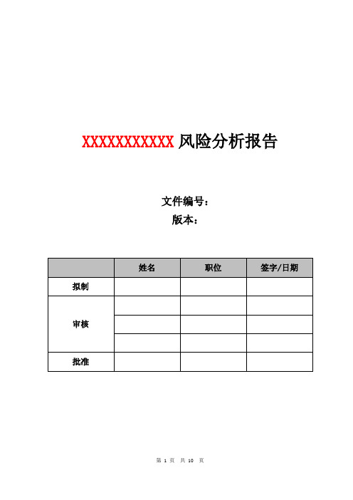 风险分析报告