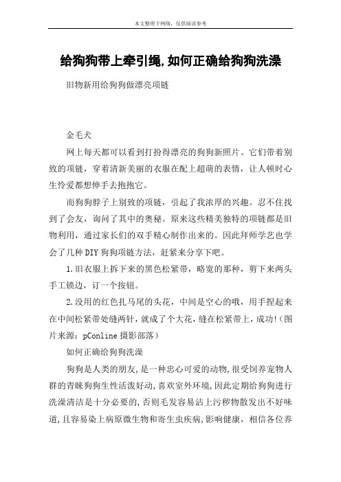 给狗狗带上牵引绳,如何正确给狗狗洗澡