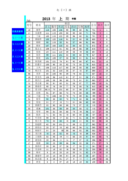 2013年上期半期成绩统计