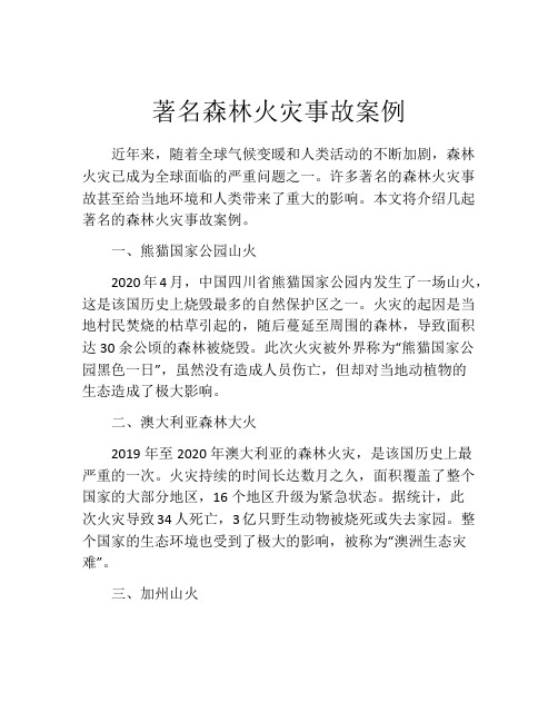 著名森林火灾事故案例