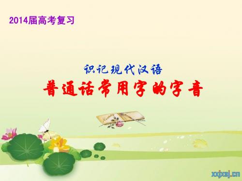 2014届高考语音复习