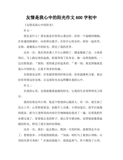 友情是我心中的阳光作文600字初中