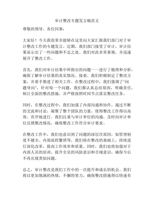 审计整改专题发言稿范文