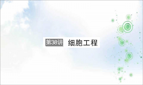 2019年大一轮复习高中生物配套课件:第十一单元 现代生物科技专题11-38