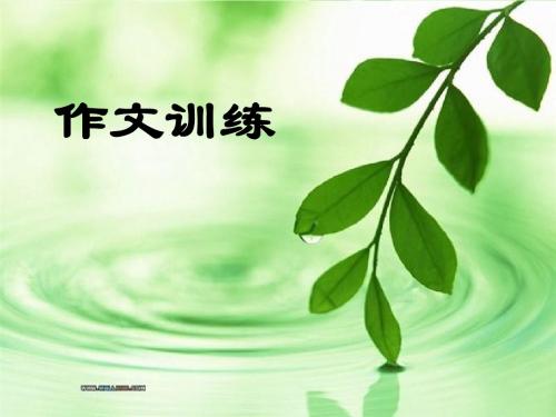 作文训练(议论方法)