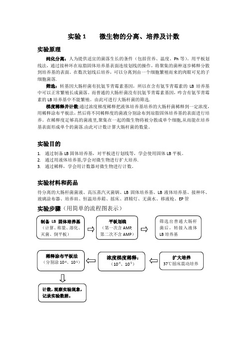 大肠杆菌微生物培养实验报告及评价标准