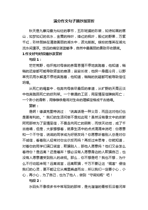 满分作文句子摘抄加赏析