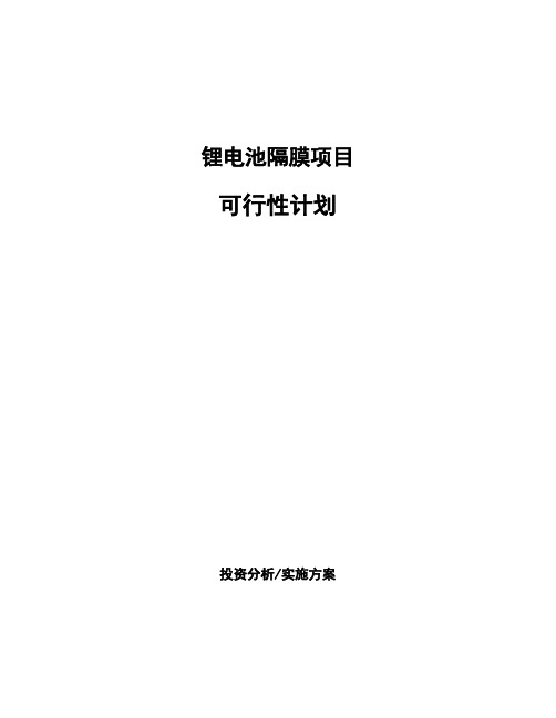 锂电池隔膜项目可行性计划