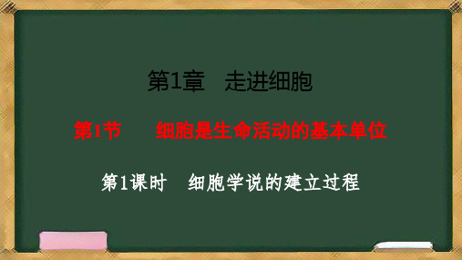 1.1细胞是生命活动的基本单位 第1课时 细胞学说的2022-2023学年高一上学期生物人教版必修1