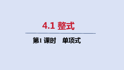 4.1   第1课时单项式   课件(共19张PPT)  2024-2025学年人教版七年级数学上册