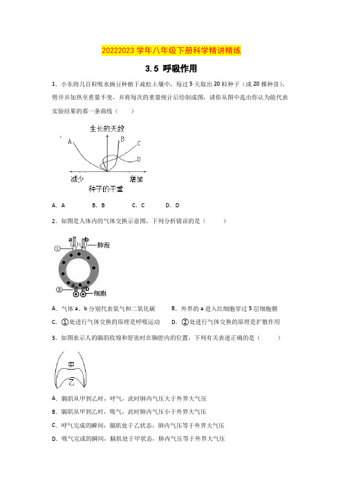 3.5生物的呼吸和呼吸作用(原卷版)