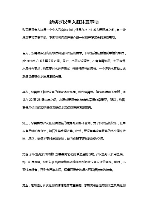 新买罗汉鱼入缸注意事项