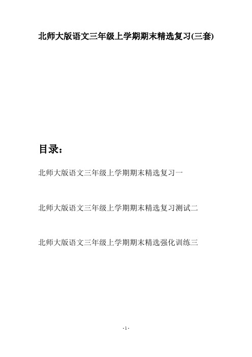 北师大版语文三年级上学期期末精选复习(三套)