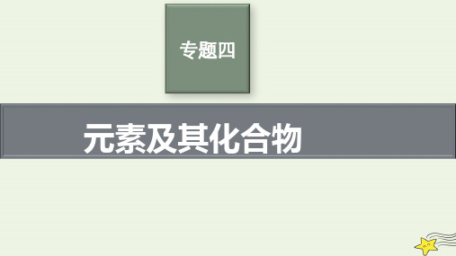 老高考旧教材适用2023版高考化学二轮复习专题四元素及其化合物pptx课件