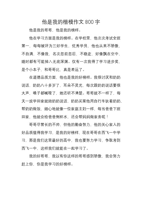 他是我的楷模作文800字