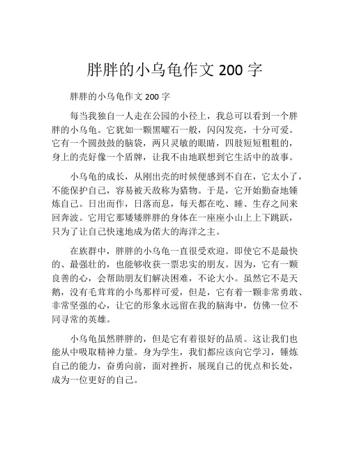 胖胖的小乌龟作文200字