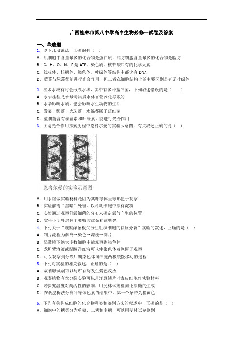 广西桂林市第八中学高中生物必修一试卷及答案